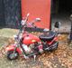 MiniBike Mini harley