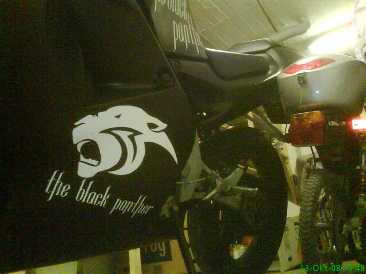 Aprilia rs50 The Black Panther billede 2