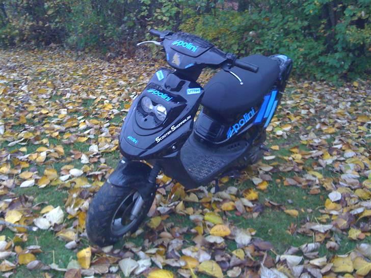 PGO hot 50 tilsalg billede 3