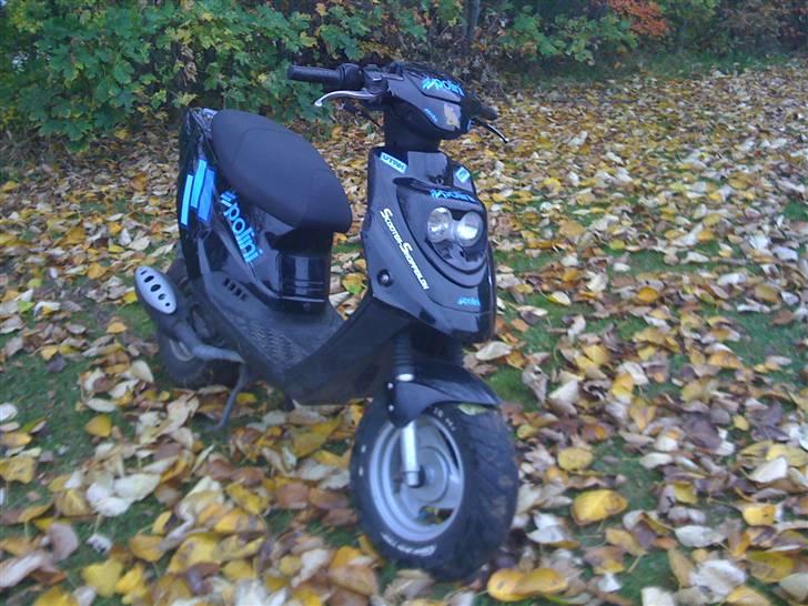 PGO hot 50 tilsalg billede 4