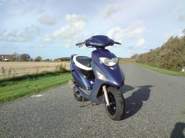 Honda SFX billede 1