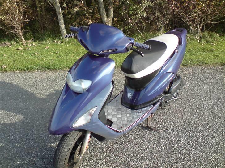 Honda SFX billede 14