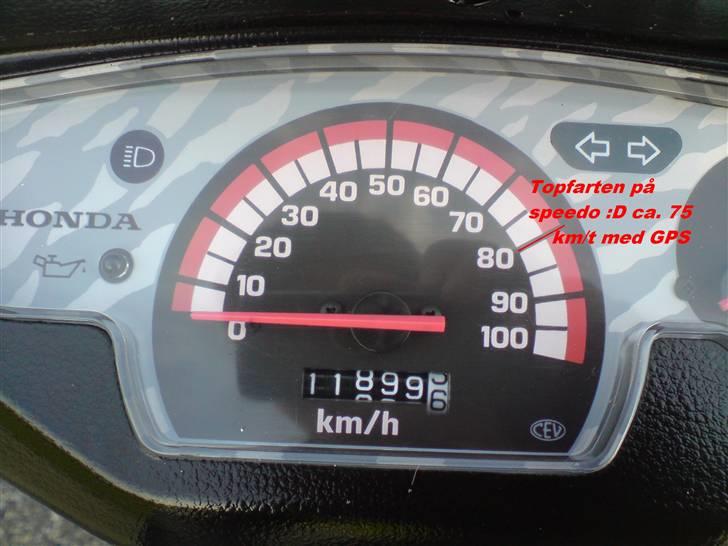 Honda SFX billede 20