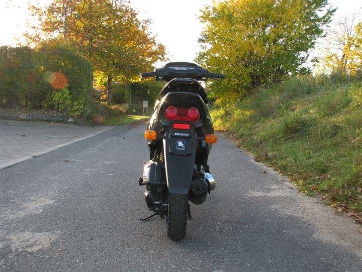 Honda SFX -  2002 - SOLGT billede 3