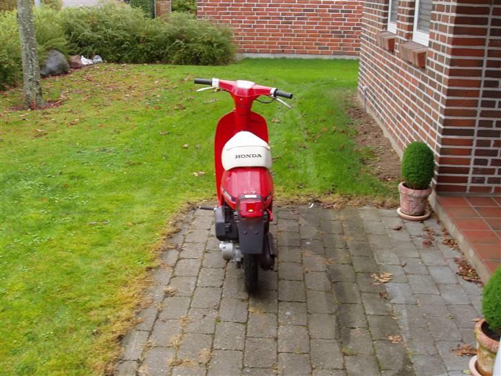 Honda Melody billede 2