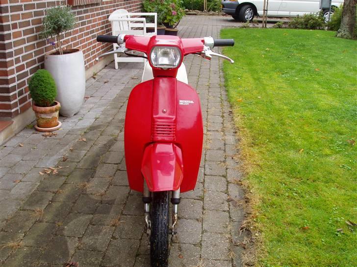 Honda Melody billede 7