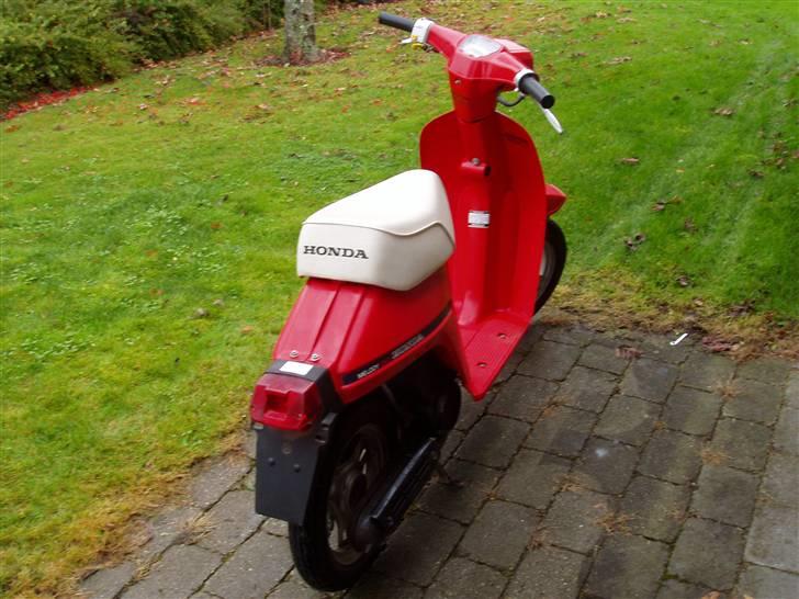 Honda Melody billede 13