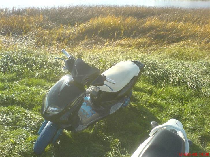 PGO Dr. big. VÆK billede 4