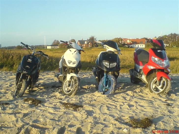 PGO Dr. big. VÆK billede 11