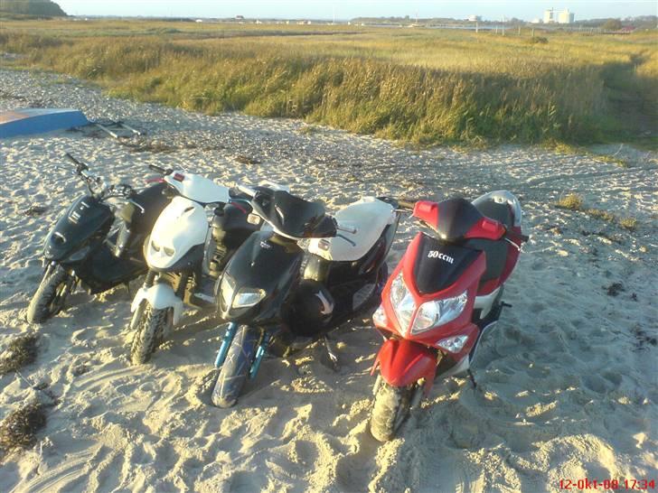 PGO Dr. big. VÆK billede 12