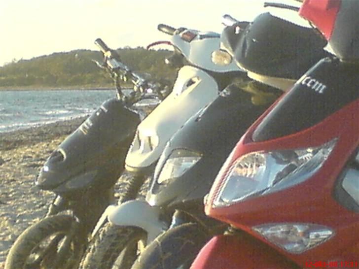 PGO Dr. big. VÆK billede 13