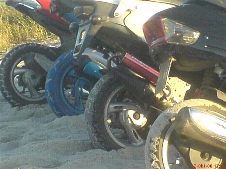 PGO Dr. big. VÆK billede 14