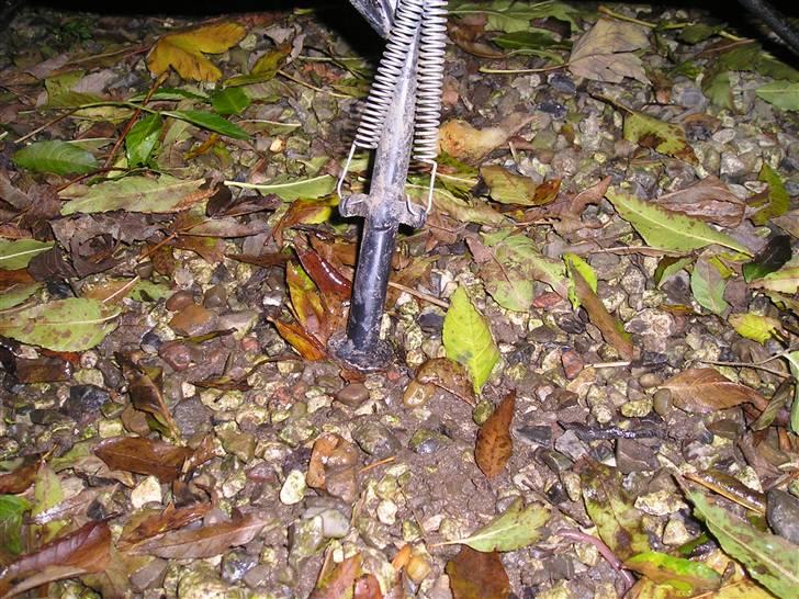 Aprilia sonic Gp >>SOLGT<< billede 7