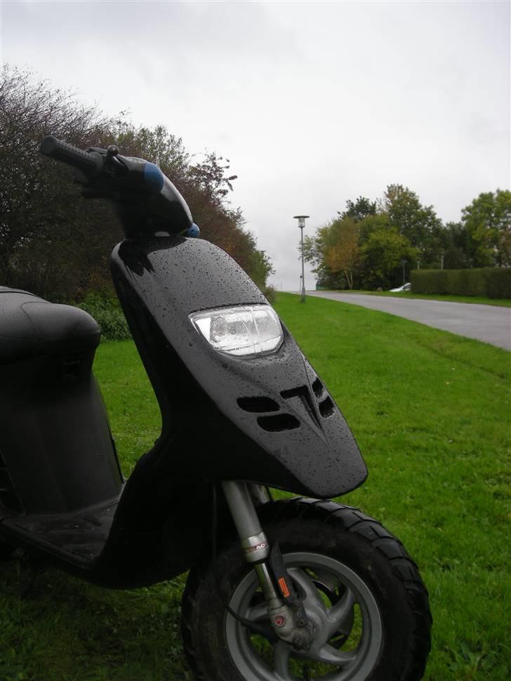 Piaggio Typhoon solgt billede 8