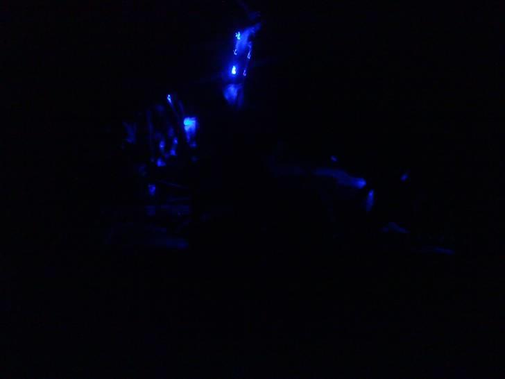 Suzuki smx billede 6