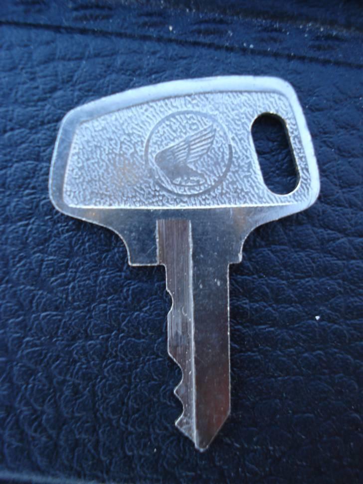 Honda Dax - Neon Blue. billede 5