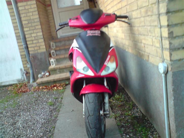 Benelli 491 LC DD DMU Projekt billede 3