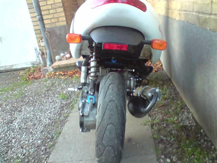 Benelli 491 LC DD DMU Projekt billede 4