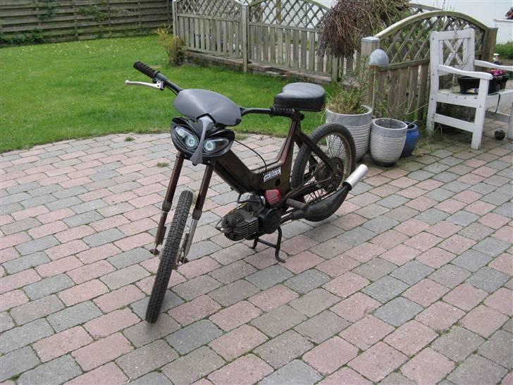 Puch Maxi [Golden Beauty] billede 2