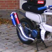 Suzuki FZ50 "SOLGT"