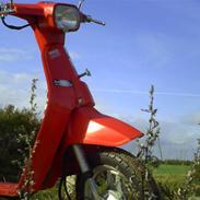 Honda C-Mini-moto-MELODY NT50 