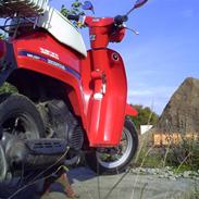 Honda C-Mini-moto-MELODY NT50 