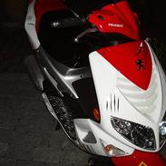 Peugeot Speedfight 2 R-Cup