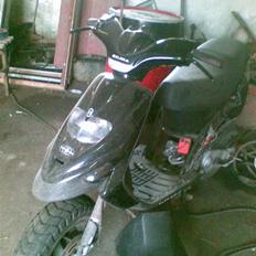 Gilera Stalker           (SOLGT)