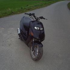 Kreidler Easy Rider 45 Smidt ud.