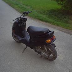 Kreidler Easy Rider 45 Smidt ud.