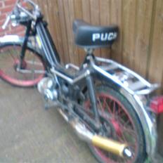 Puch maxi kl (SOLGT)