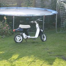 Honda melody  SOLGT.