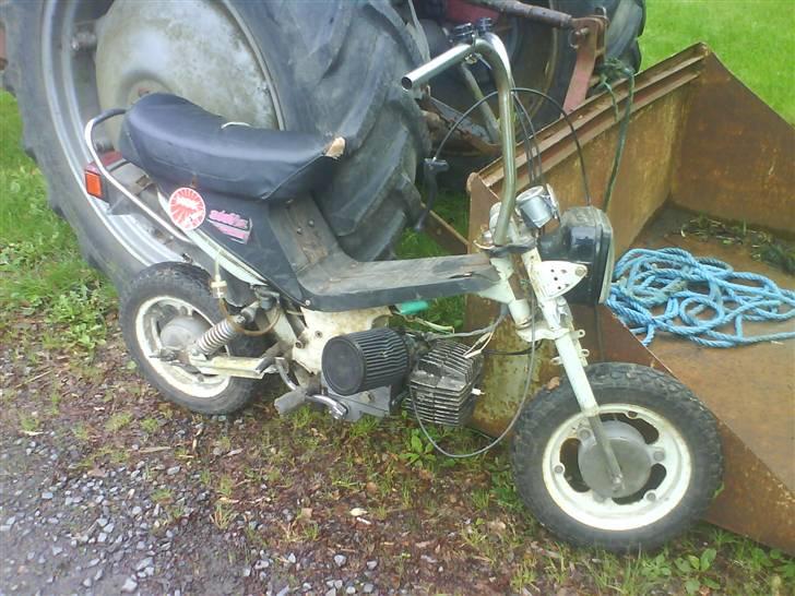 Puch maxi stella billede 1