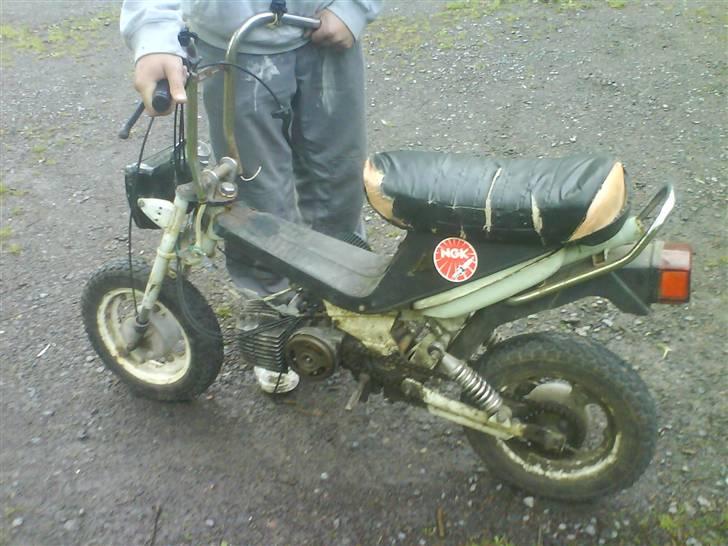 Puch maxi stella billede 3