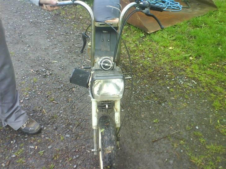 Puch maxi stella billede 4