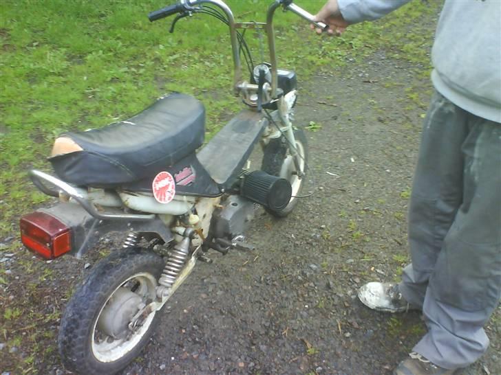 Puch maxi stella billede 5