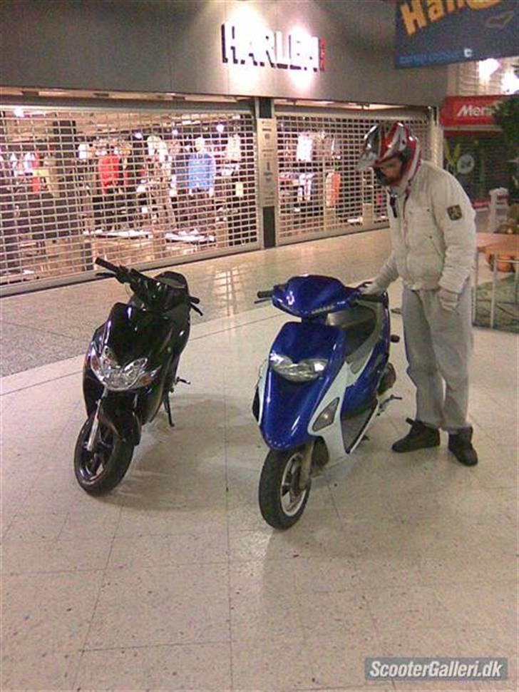 Honda Sfx Byttet til Sonic! billede 8