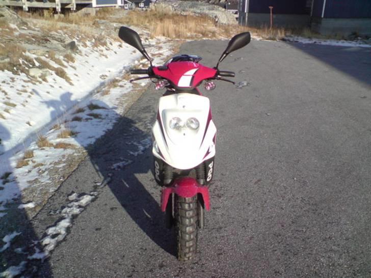 PGO Hot 50 billede 3