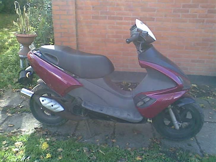 Benelli 491 GT Special (solgt) - før  billede 2