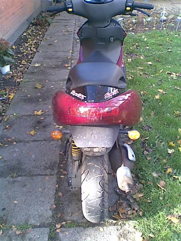 Benelli 491 GT Special (solgt) billede 3