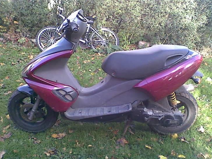 Benelli 491 GT Special (solgt) billede 4