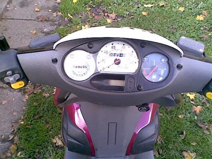 Benelli 491 GT Special (solgt) billede 5