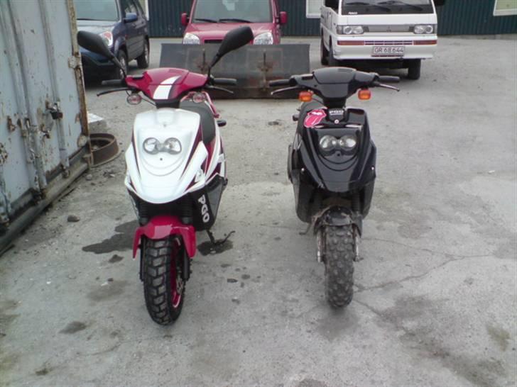 PGO Hot 50 billede 9