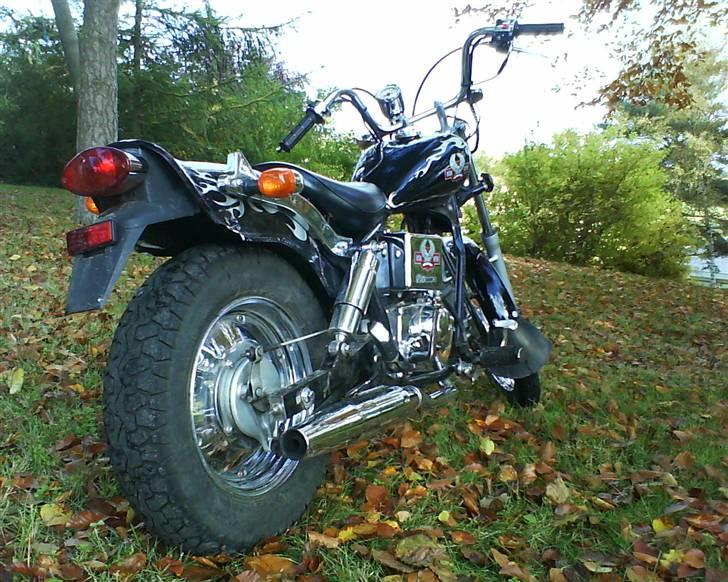 Regal Raptor SOLGT billede 1