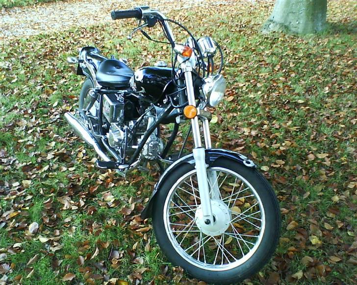 Regal Raptor SOLGT billede 2