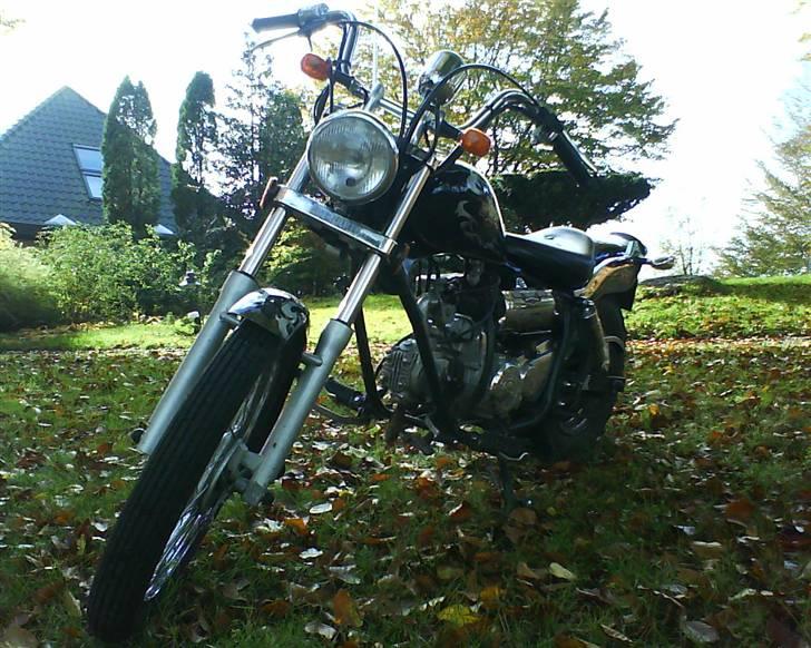 Regal Raptor SOLGT billede 3