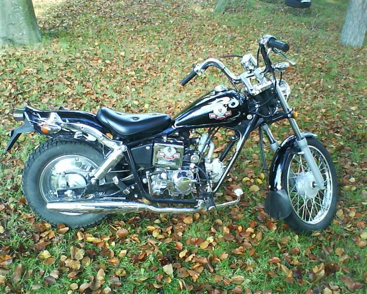 Regal Raptor SOLGT billede 4