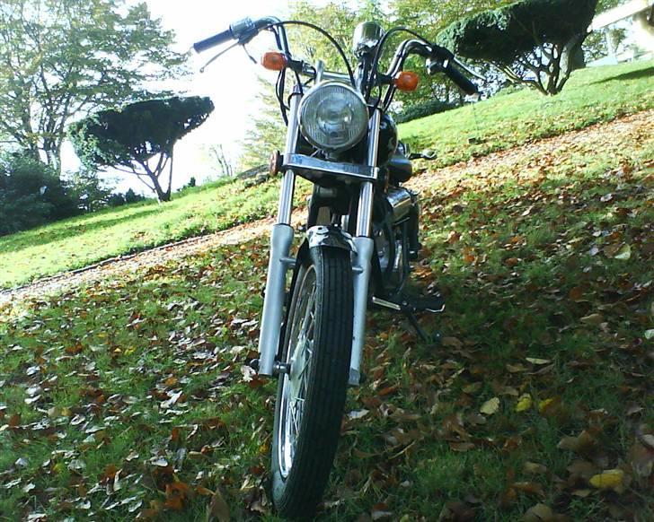 Regal Raptor SOLGT billede 5