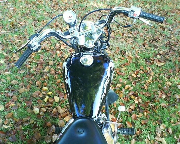 Regal Raptor SOLGT billede 6