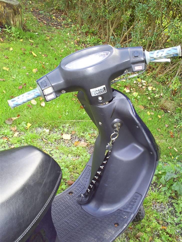 PGO comet billede 11